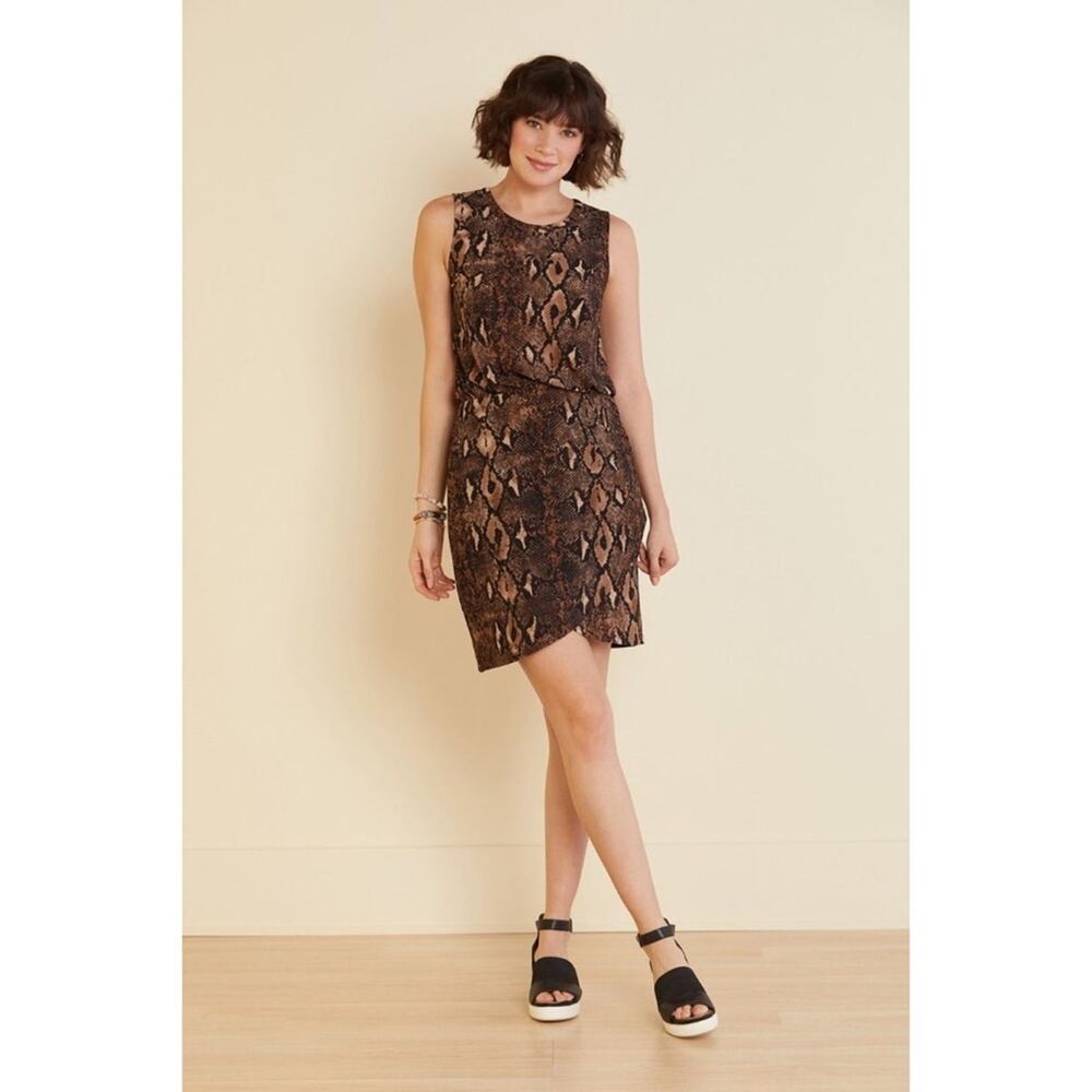 5/$30 Anthropologie  Sunday’s in Brooklyn Snake Print Mini Dress